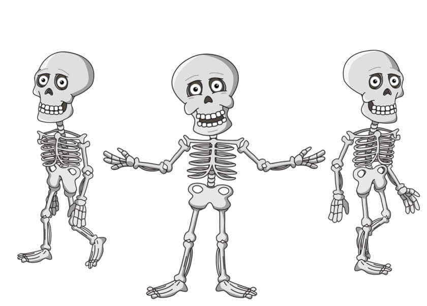 Bare Bones Brooklyn puppet available for Adobe Character Animator