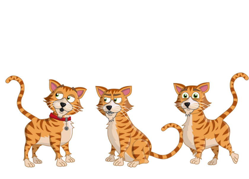 Venus - Ginger Cat Puppet for Adobe Character Animator